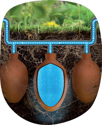 Comment installer une olla, oya : jarre irrigation ? - Nature With Us