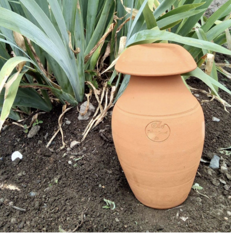 Sécheresse. Comment les ollas, ces jarres d'irrigation, peuvent sauver  votre jardin en économisant de l'eau